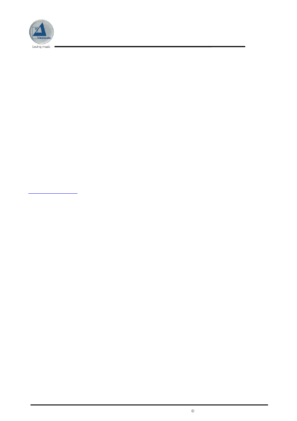 Statement, Special directions | Clearaudio STATEMENT User Manual | Page 17 / 20