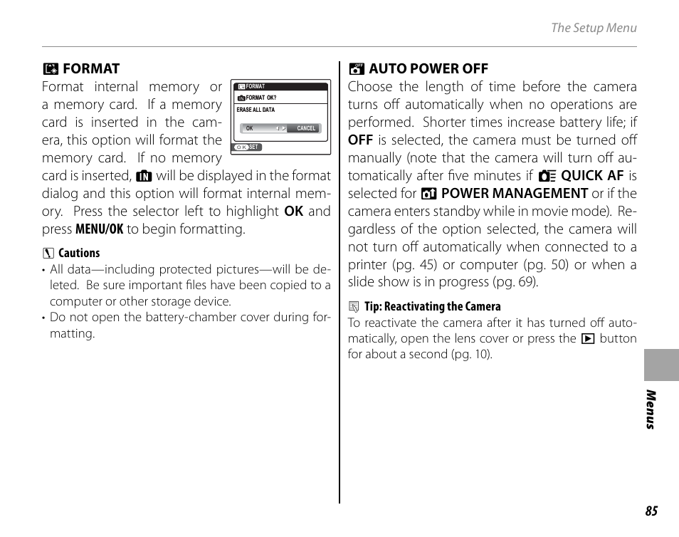 Format, Auto power off | Cyclopital3D FinePix Real 3D W1 camera User Manual | Page 99 / 128