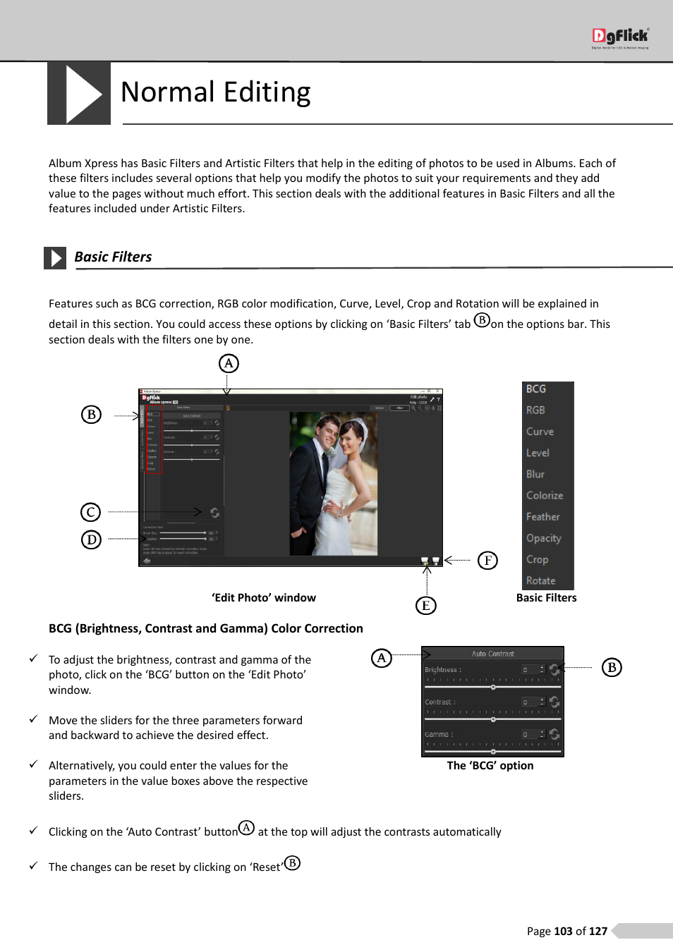 Normal editing, Basic filters | DgFlick AlbumXpress User Manual | Page 104 / 128