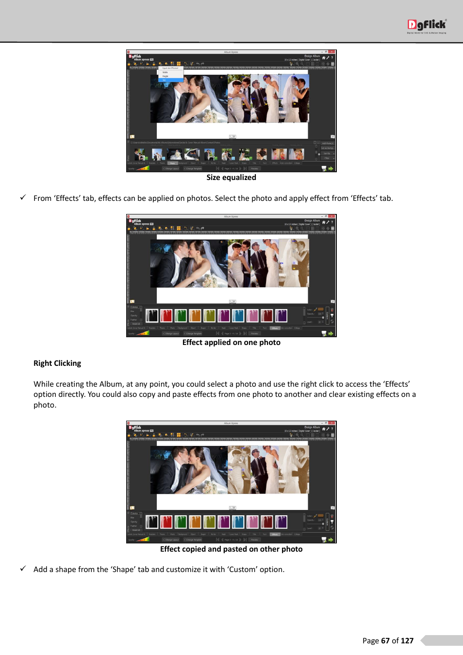 DgFlick AlbumXpress User Manual | Page 68 / 128