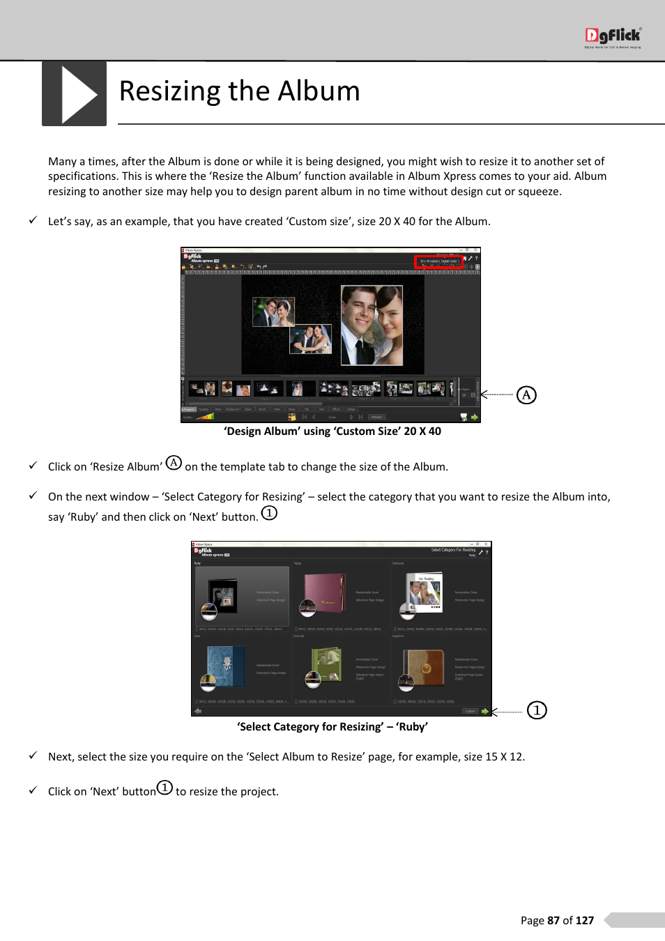 Resizing the album | DgFlick AlbumXpress User Manual | Page 88 / 128