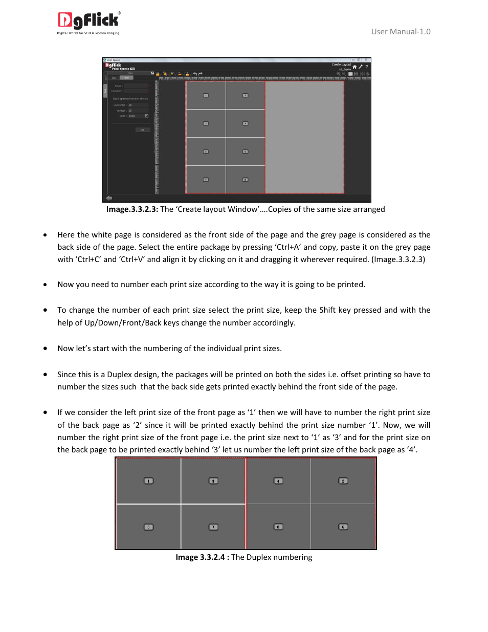 DgFlick PrintXpress User Manual | Page 31 / 53