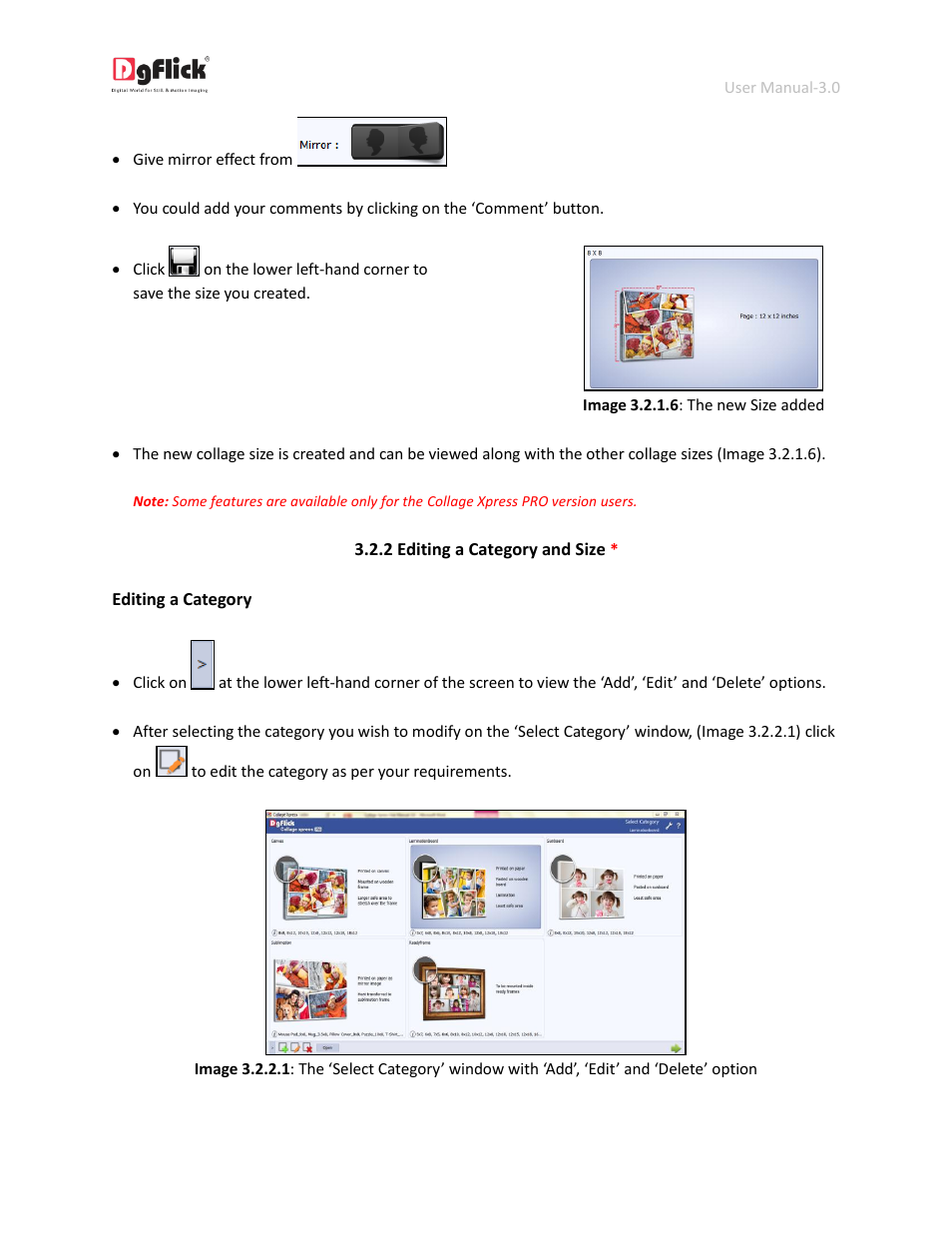 Editing a category and size | DgFlick CollageXpress User Manual | Page 18 / 70