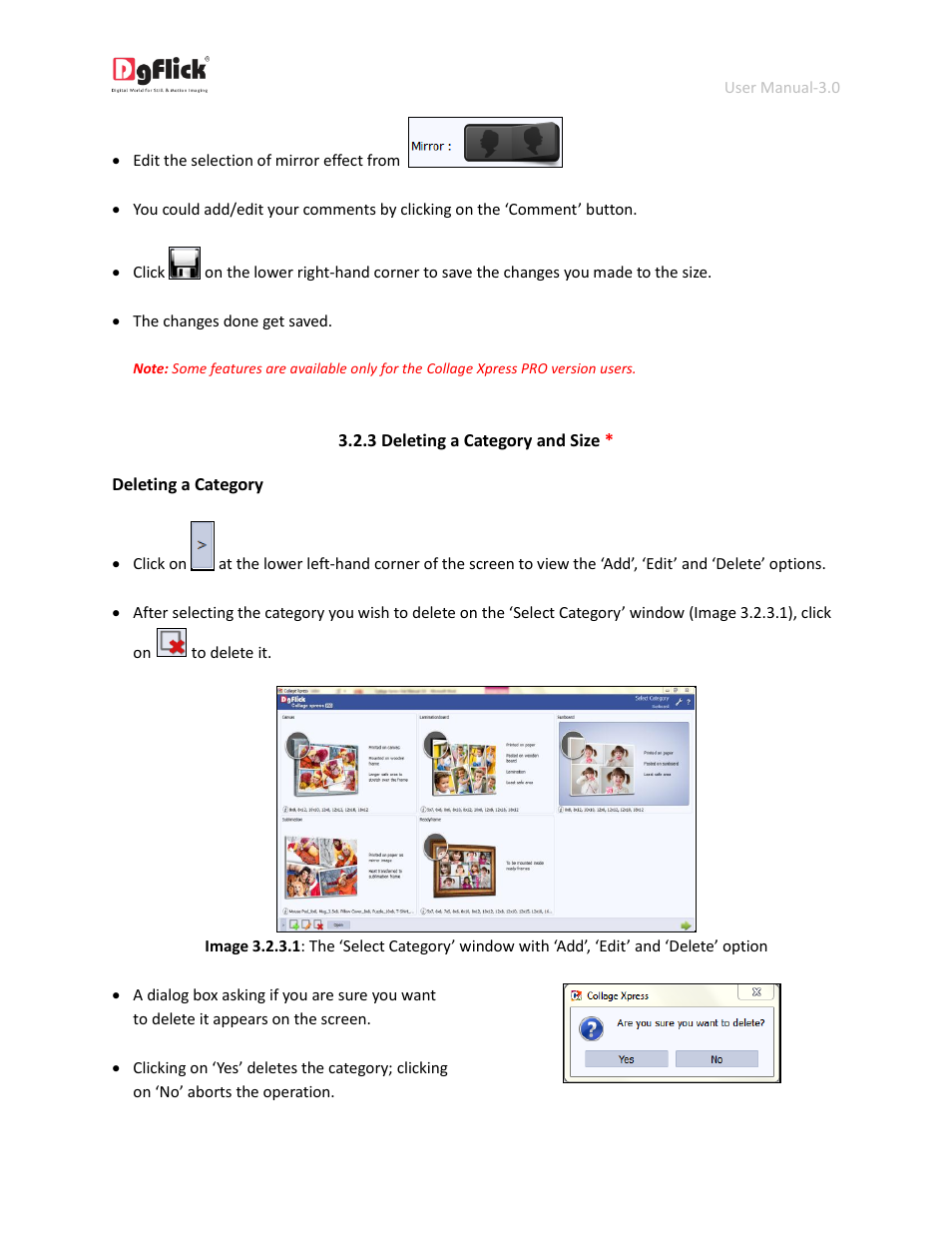 Deleting a category and size, Delete | DgFlick CollageXpress User Manual | Page 21 / 70