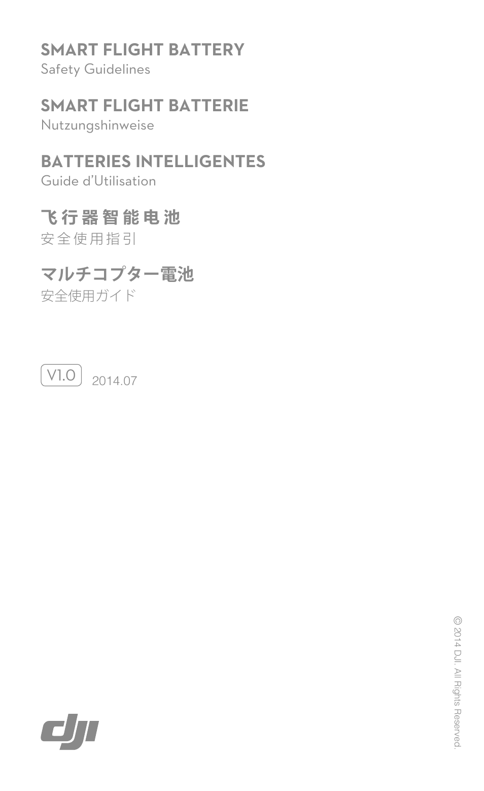 DJI Smart Flight Battery Safety User Manual | 6 pages