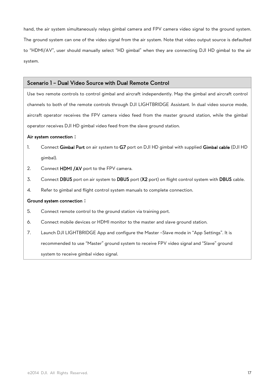 DJI Lightbridge User Manual User Manual | Page 17 / 48