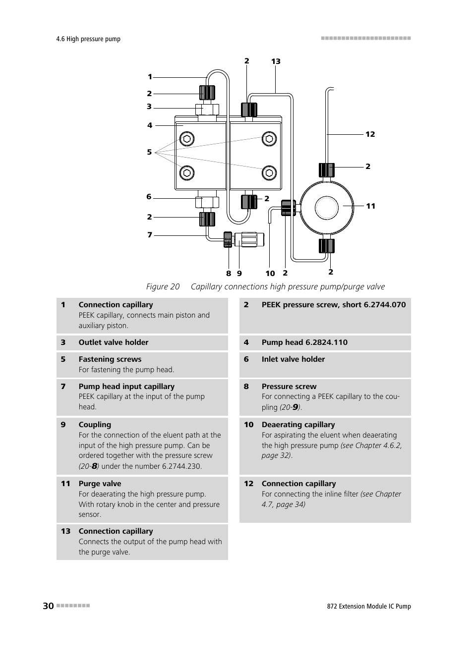 Figure 20 | Metrohm 872 Extension Module IC Pump User Manual | Page 38 / 79