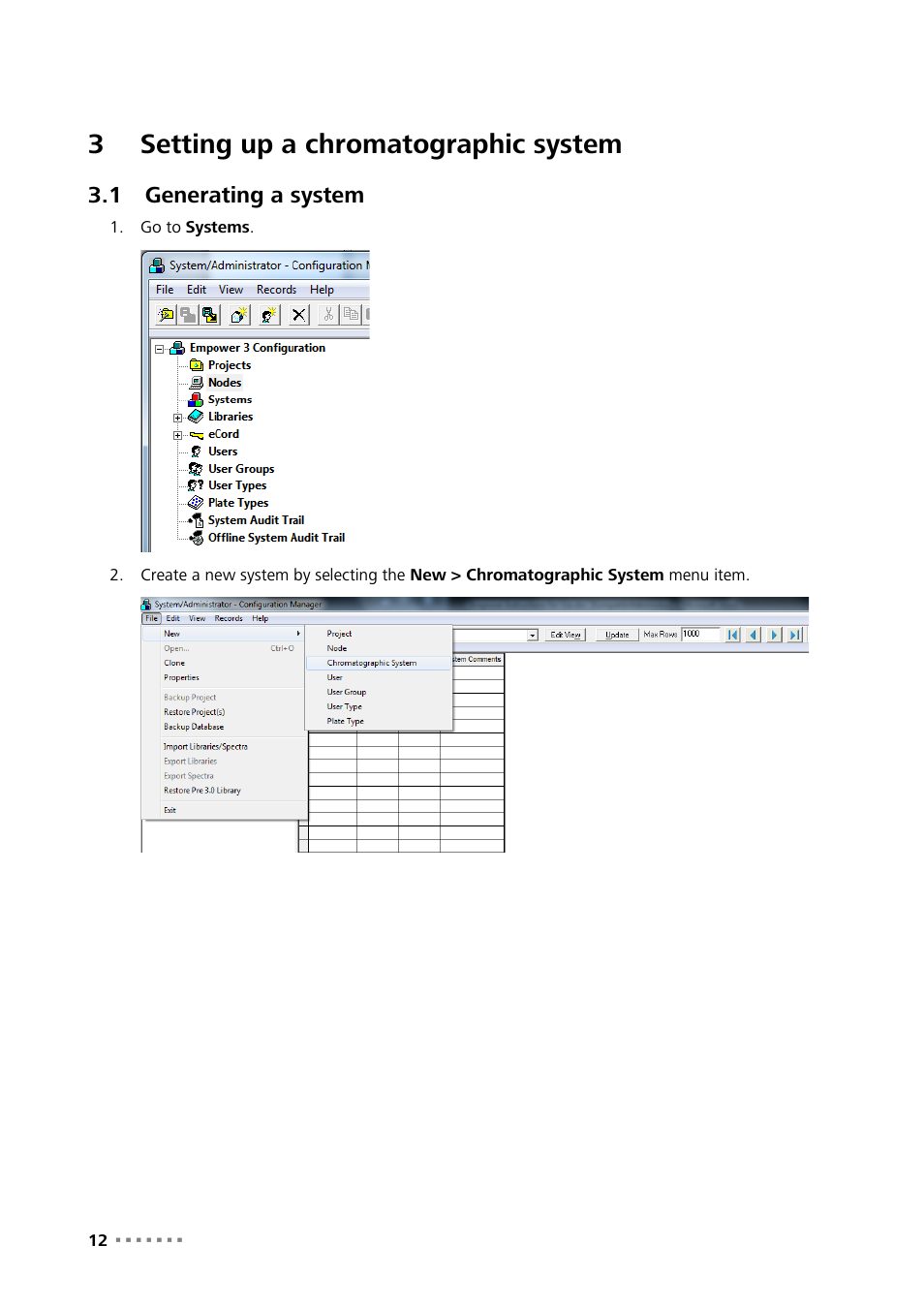 3 setting up a chromatographic system, 1 generating a system, Setting up a chromatographic system | Generating a system, 3setting up a chromatographic system | Metrohm MagIC Net Empower Driver User Manual | Page 14 / 57