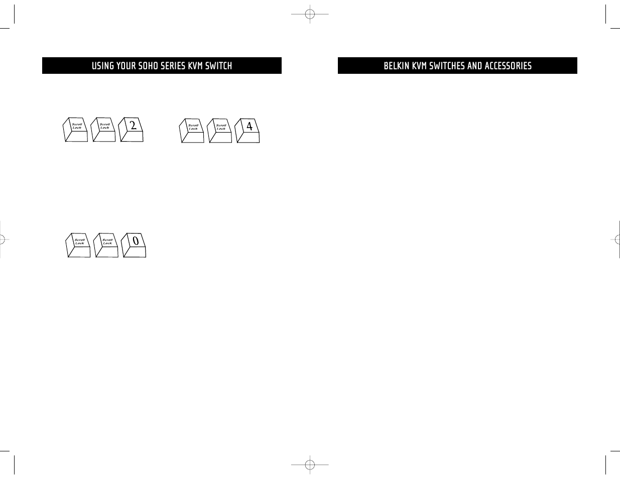 Using your soho series kvm switch, Belkin kvm switches and accessories | Belkin F1DS102T User Manual | Page 13 / 21