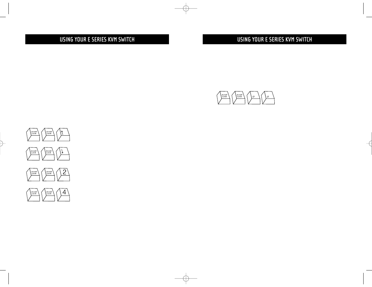 Using your e series kvm switch | Belkin F1DB102P User Manual | Page 8 / 15