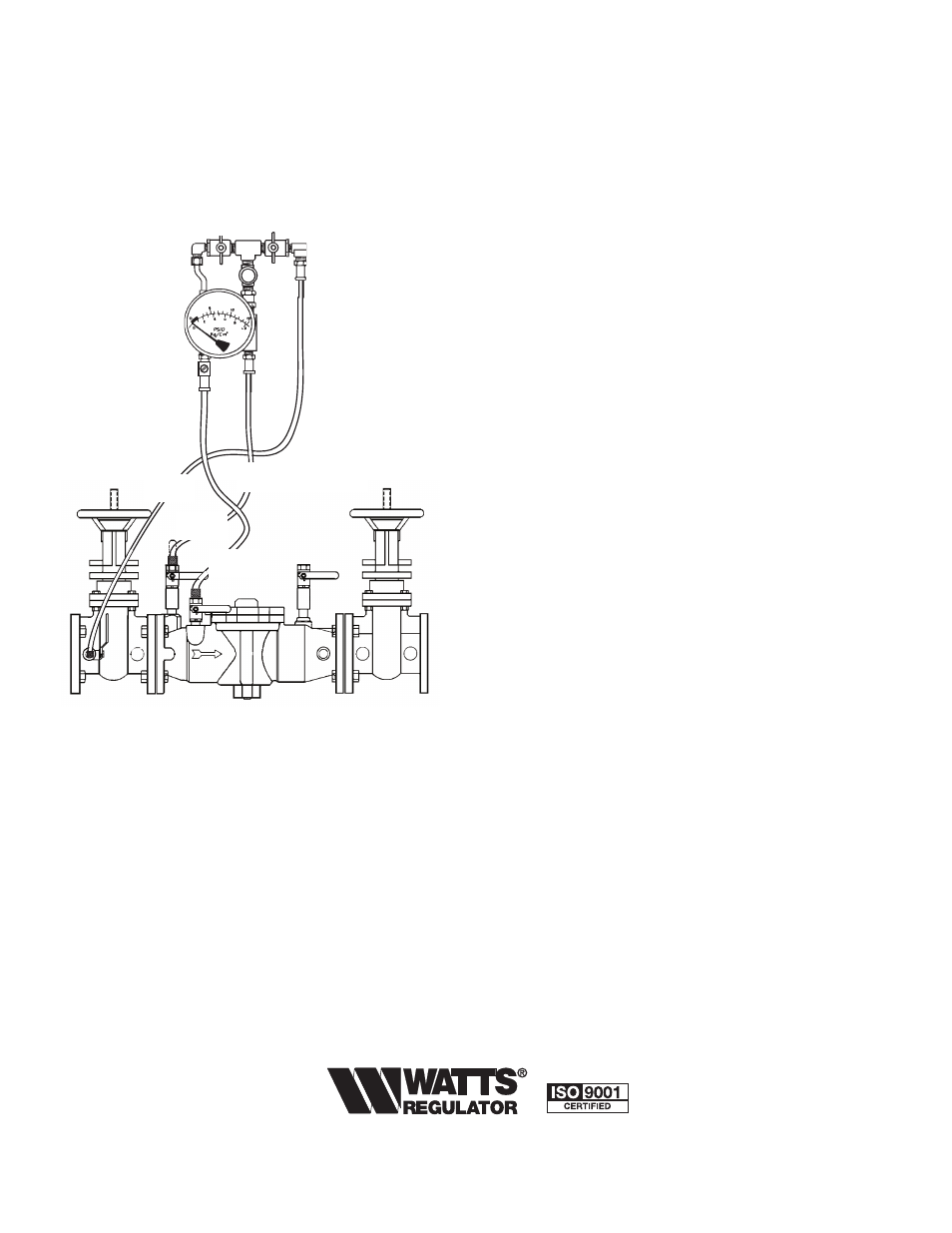 Test procedure, Double check valve assembly, Test check valve no. 1 | Test check valve no. 2, Test for leaky no. 2 shutoff | Watts 007M1DCDA User Manual | Page 4 / 4