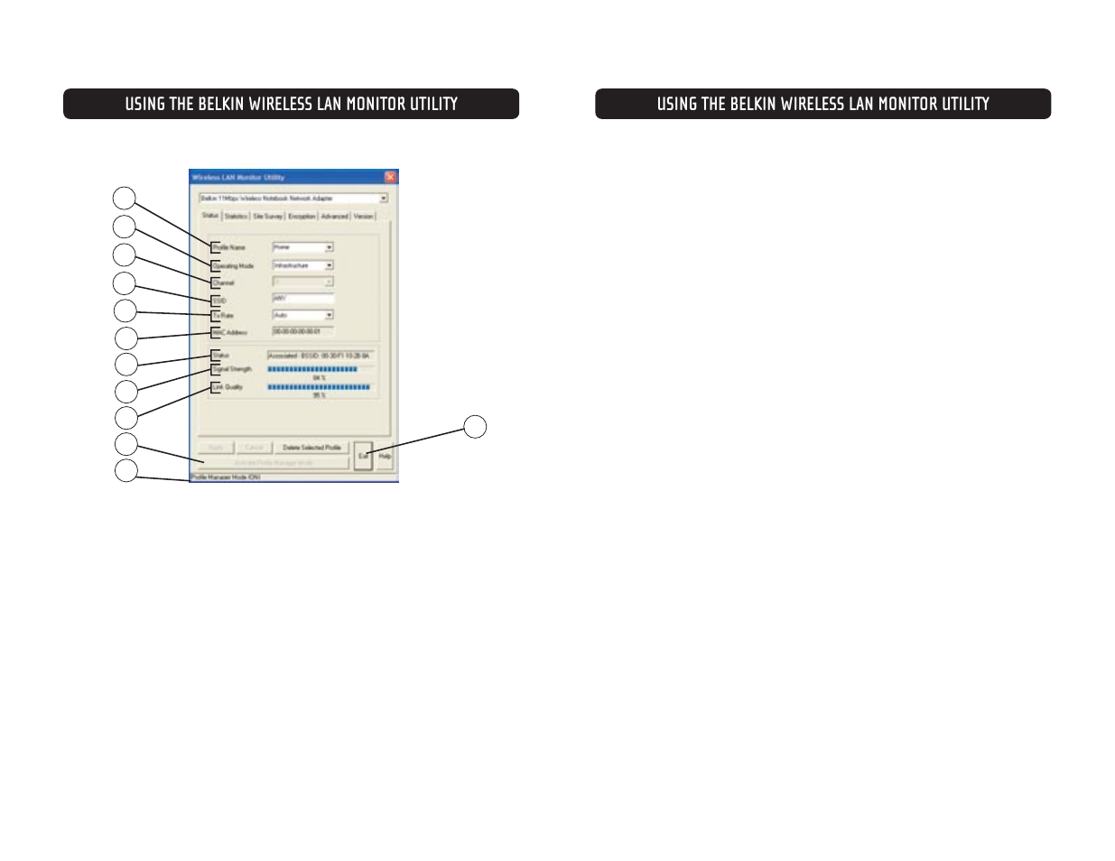 Using the belkin wireless lan monitor utility | Belkin F5D6020 User Manual | Page 7 / 15