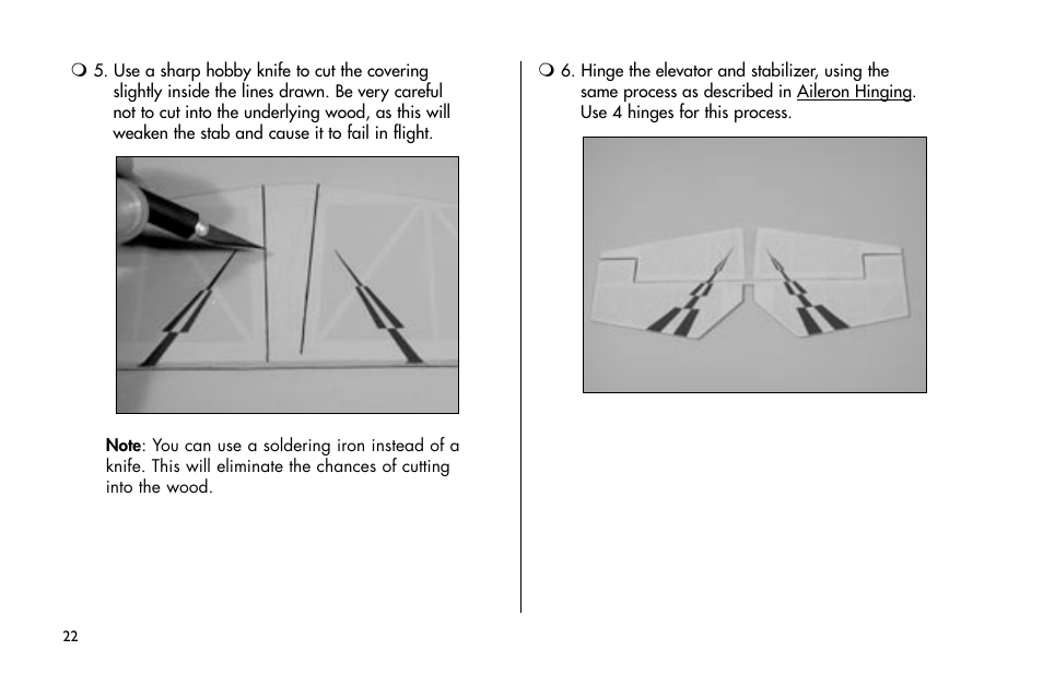 E-flite Mini Funtana 3D EP ARF User Manual | Page 22 / 44