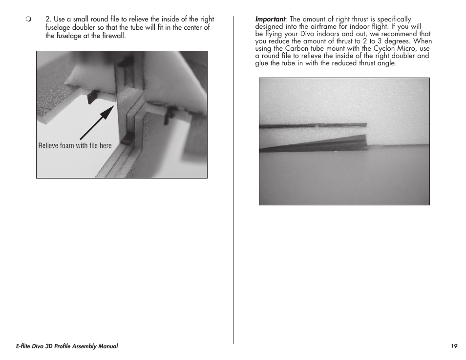 E-flite Divo 3D User Manual | Page 19 / 36