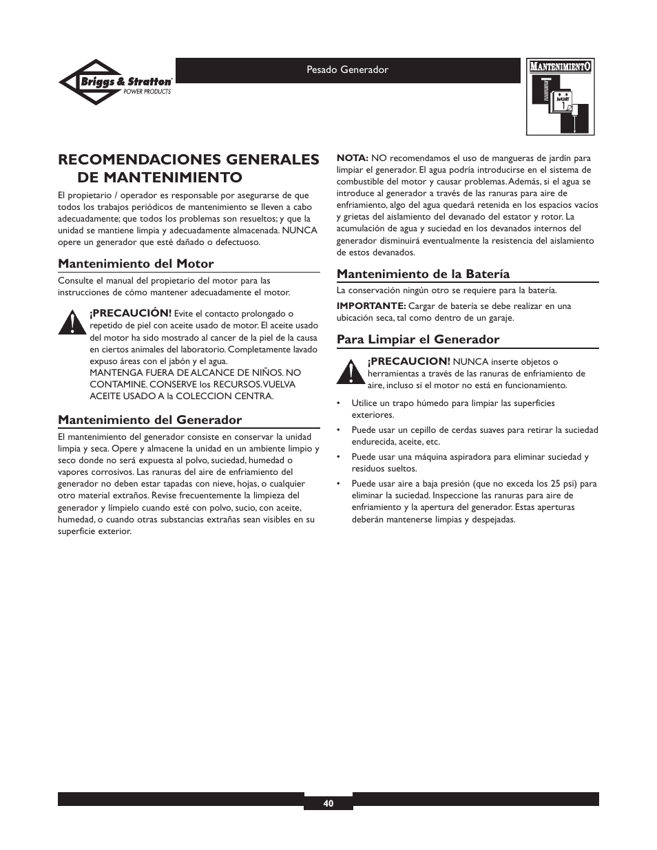 Recomendaciones generales de mantenimiento | Briggs & Stratton 01654 User Manual | Page 40 / 52