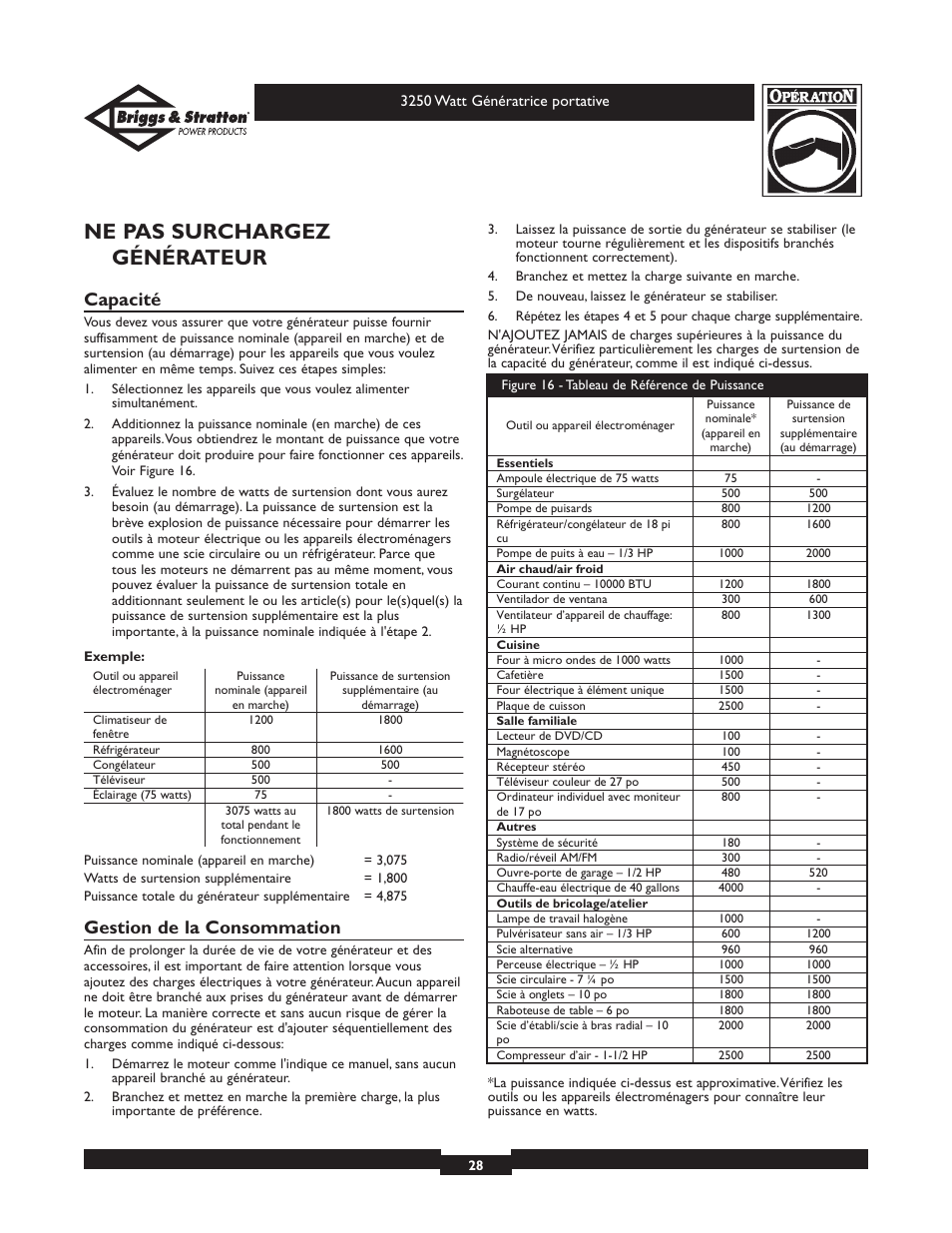 Ne pas surchargez générateur, Capacité, Gestion de la consommation | Briggs & Stratton 1653 User Manual | Page 28 / 48