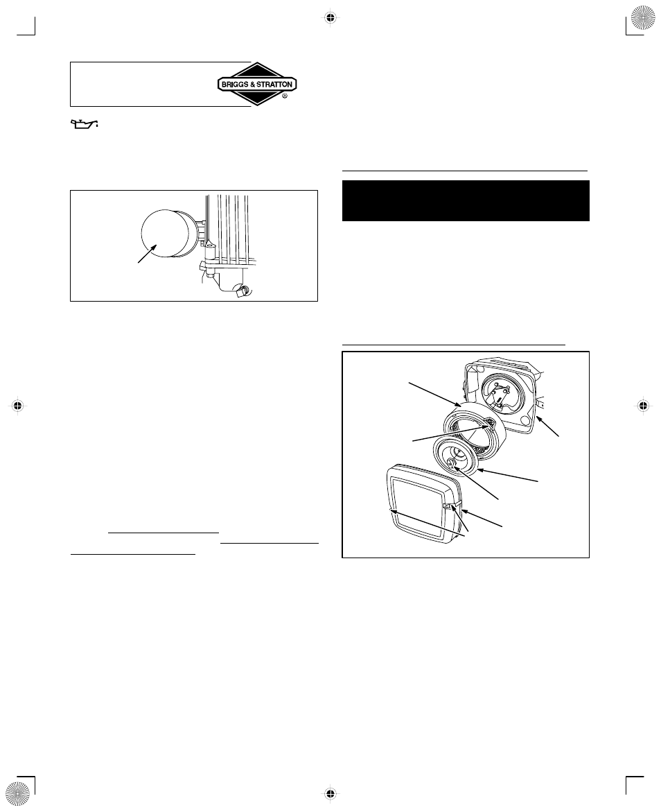 Maintenance, Air cleaner | Briggs & Stratton 294700 User Manual | Page 12 / 20