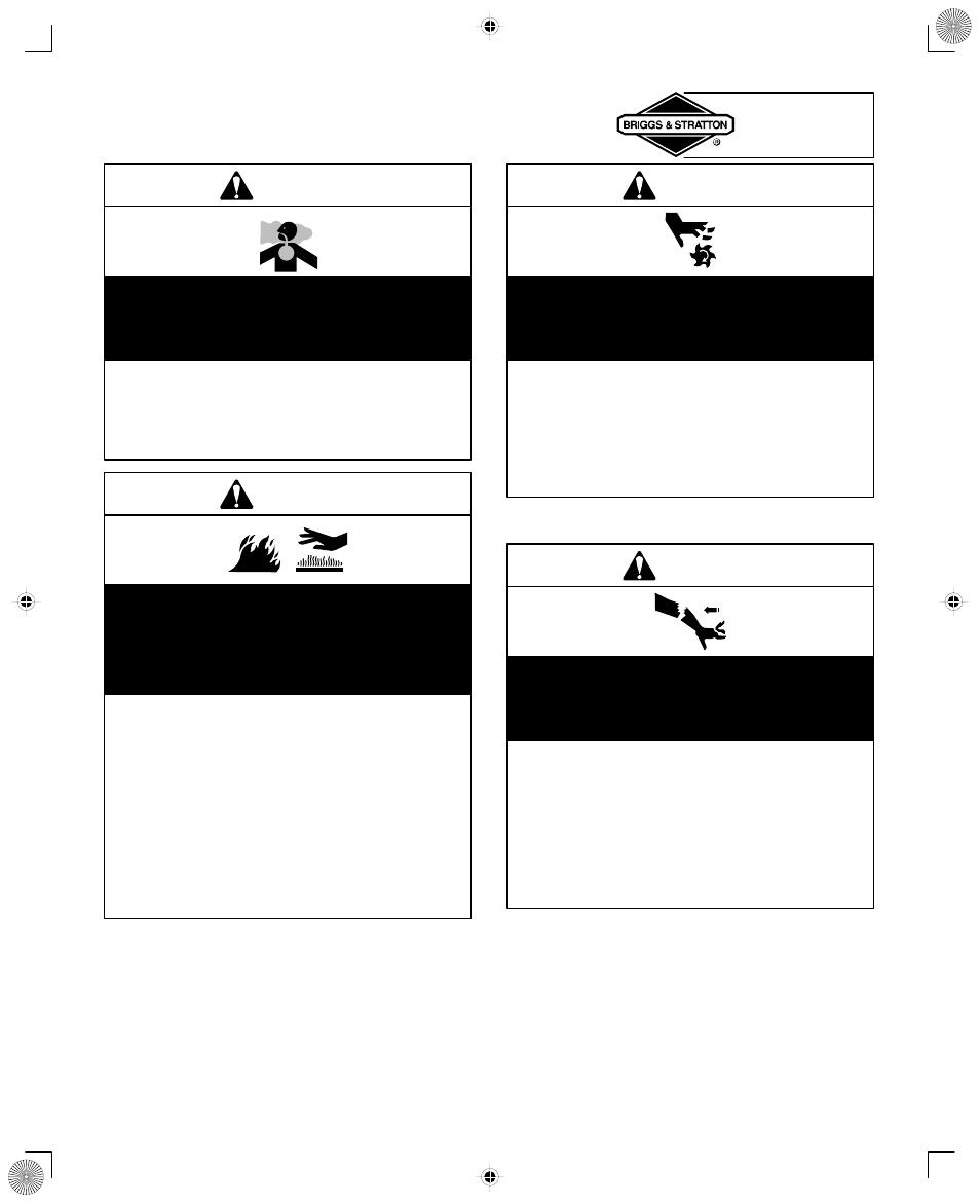 Safety, Warning | Briggs & Stratton 294700 User Manual | Page 5 / 20