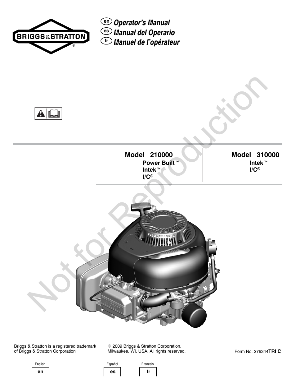 Briggs & Stratton 210000 User Manual | 28 pages