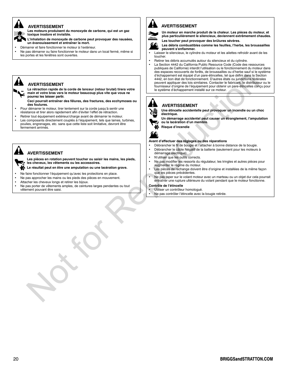 Not for reproduction | Briggs & Stratton 210000 User Manual | Page 20 / 28