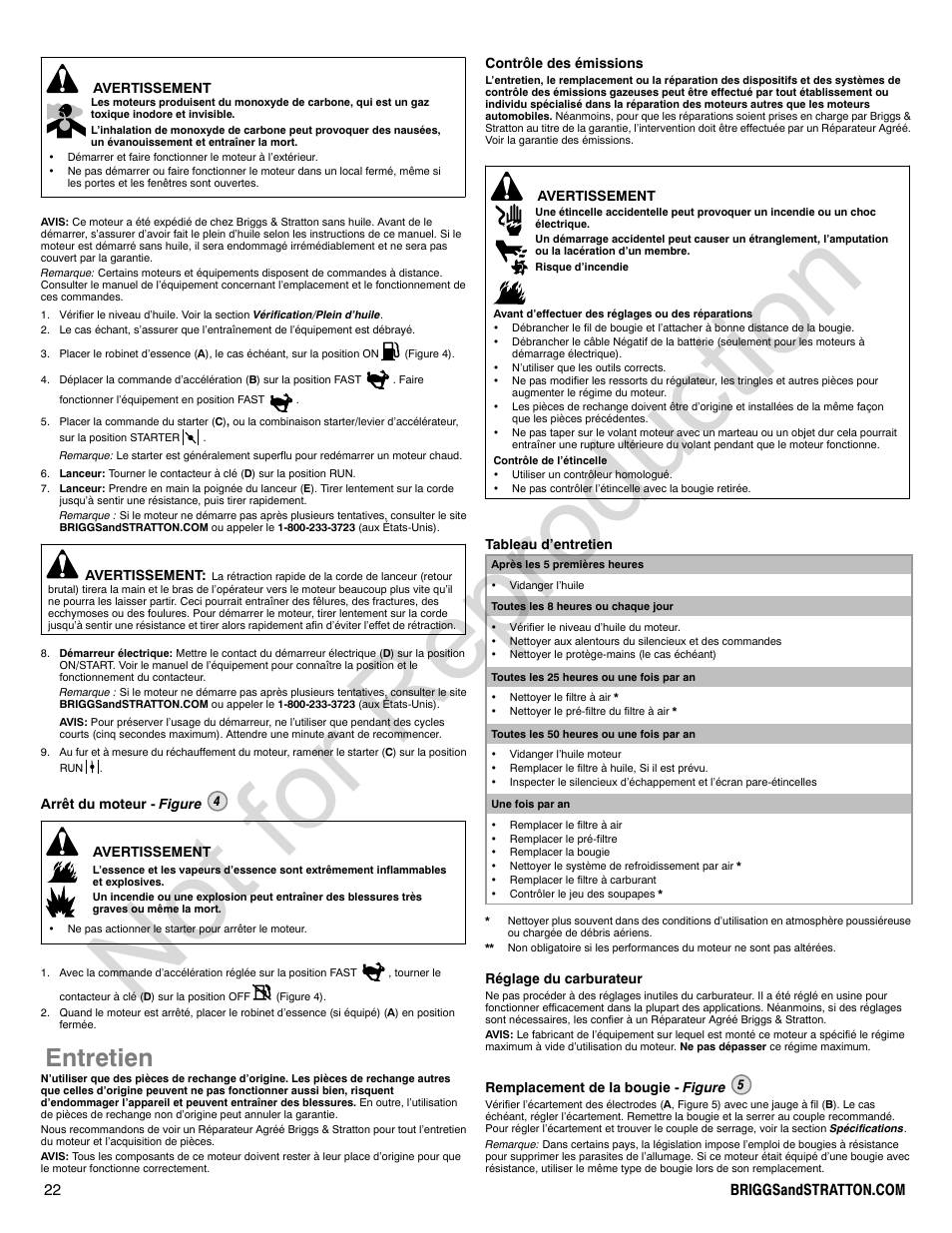 Not for reproduction, Entretien | Briggs & Stratton 210000 User Manual | Page 22 / 28