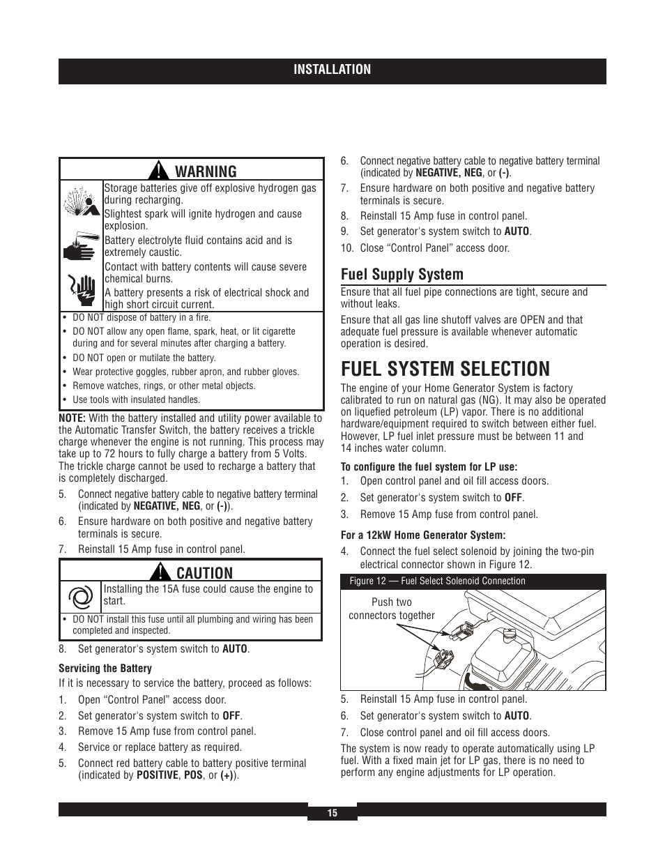 Fuel system selection, Fuel supply system, Warning | Caution | Briggs & Stratton 40204 User Manual | Page 15 / 56