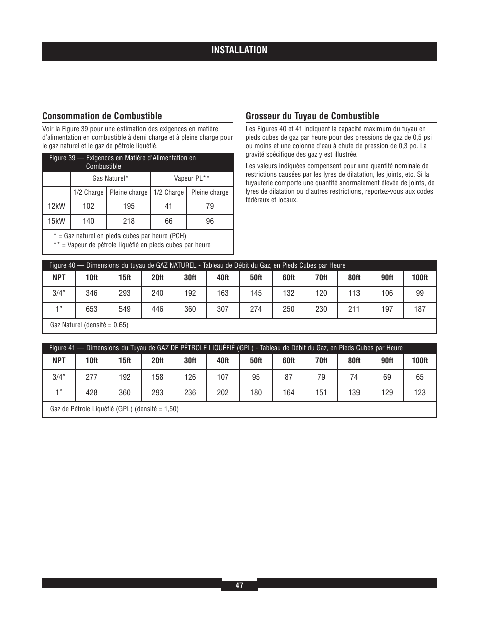 Briggs & Stratton 40204 User Manual | Page 47 / 56