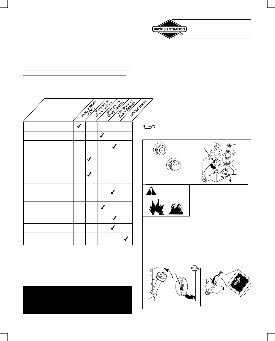 Maintenance, Warning | Briggs & Stratton 135200 User Manual | Page 11 / 20