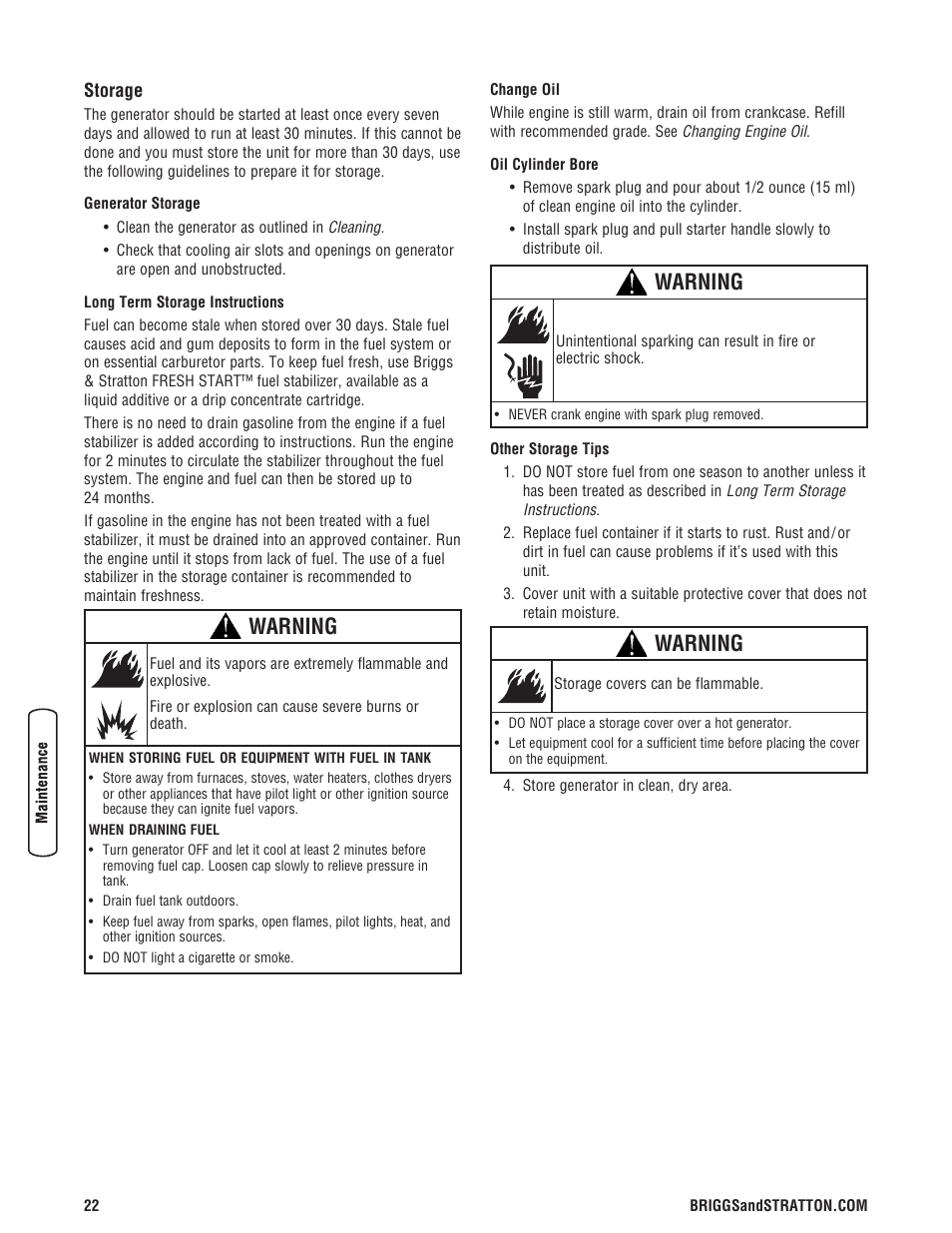 Storage, Warning | Briggs & Stratton 203985GS User Manual | Page 22 / 84