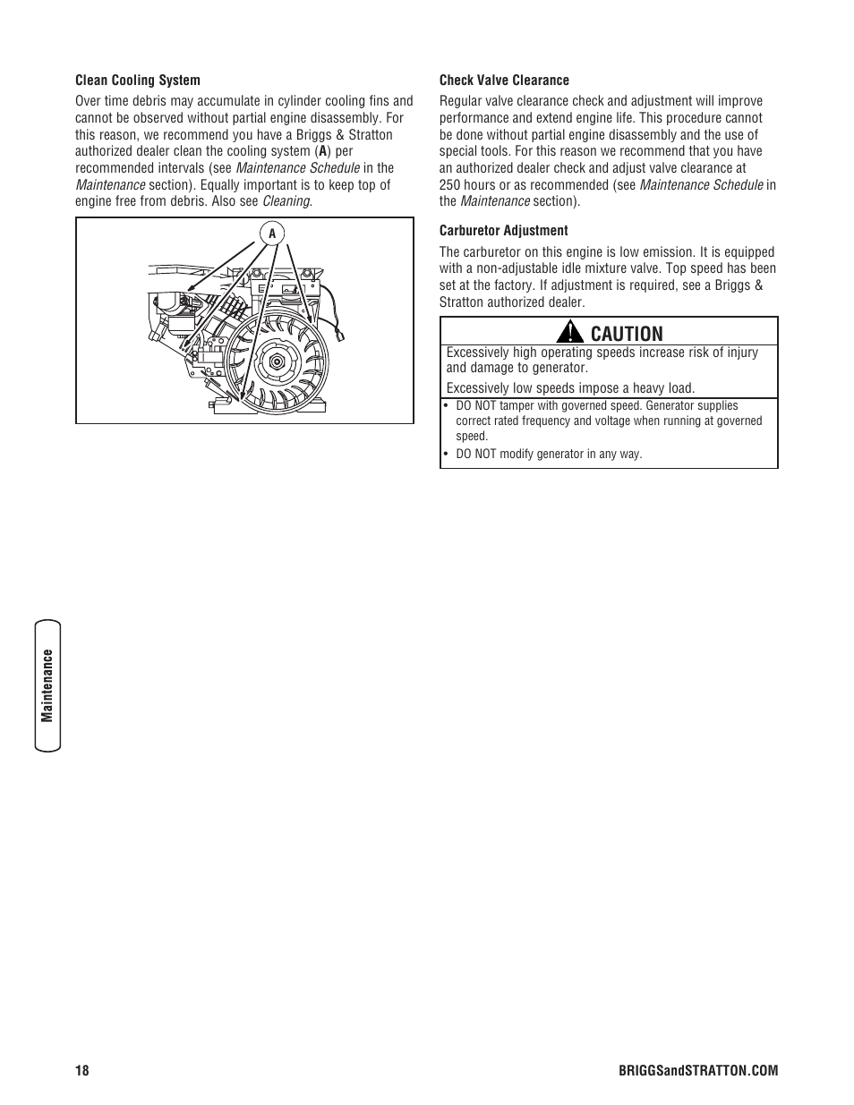 Caution | Briggs & Stratton 206494GS User Manual | Page 18 / 48