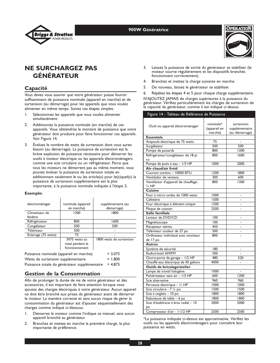 Ne surchargez pas générateur, Capacité, Gestion de la consommation | Briggs & Stratton Elite 01532-3 User Manual | Page 28 / 48