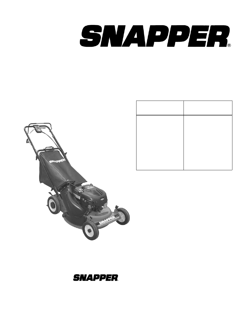 Briggs & Stratton SPV21E1 User Manual | 30 pages