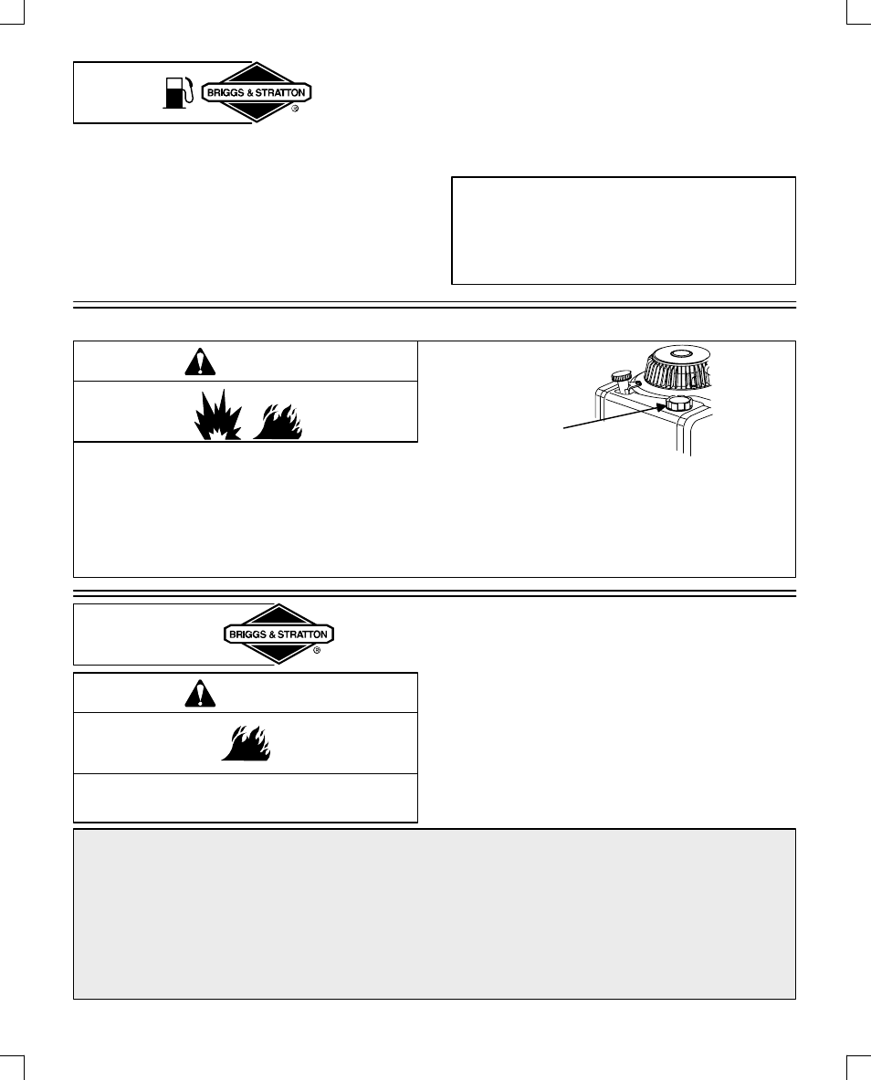 Fuel, Starting, Warning | Briggs & Stratton 28B700 User Manual | Page 8 / 20