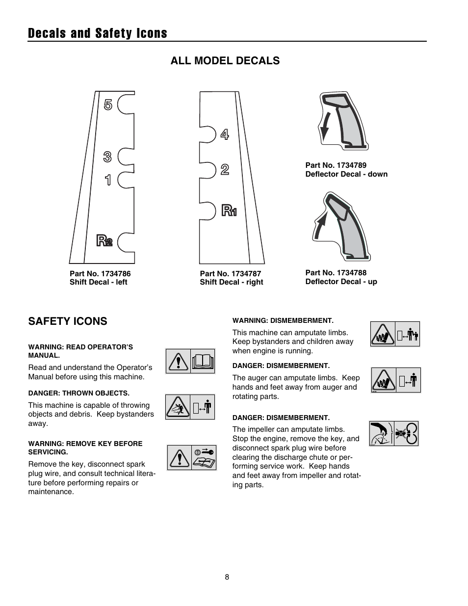 Decals and safety icons, Safety icons, All model decals | Briggs & Stratton 1732 User Manual | Page 10 / 36