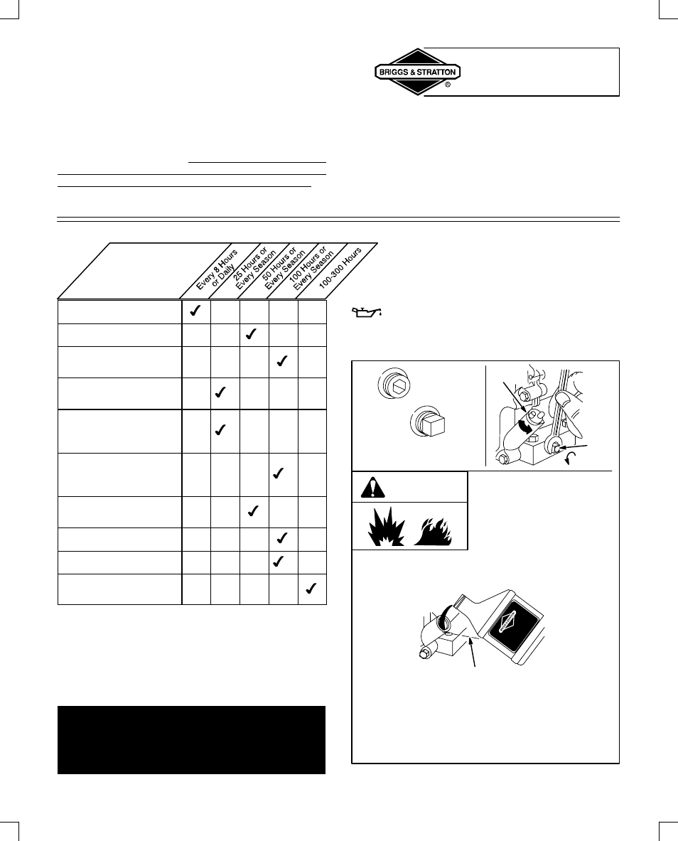 Maintenance, Warning | Briggs & Stratton 91200 User Manual | Page 11 / 20