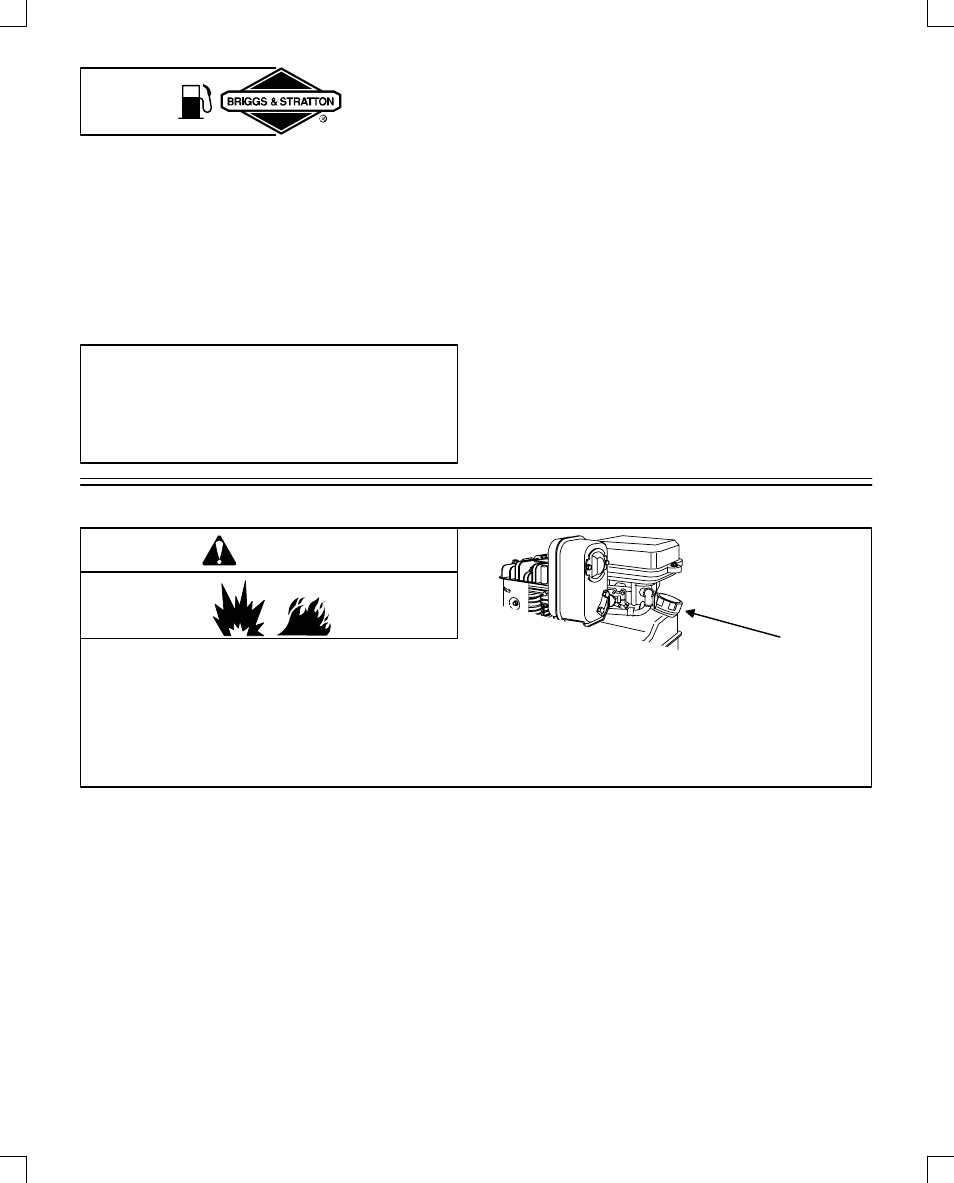 Fuel, Warning | Briggs & Stratton 91200 User Manual | Page 8 / 20