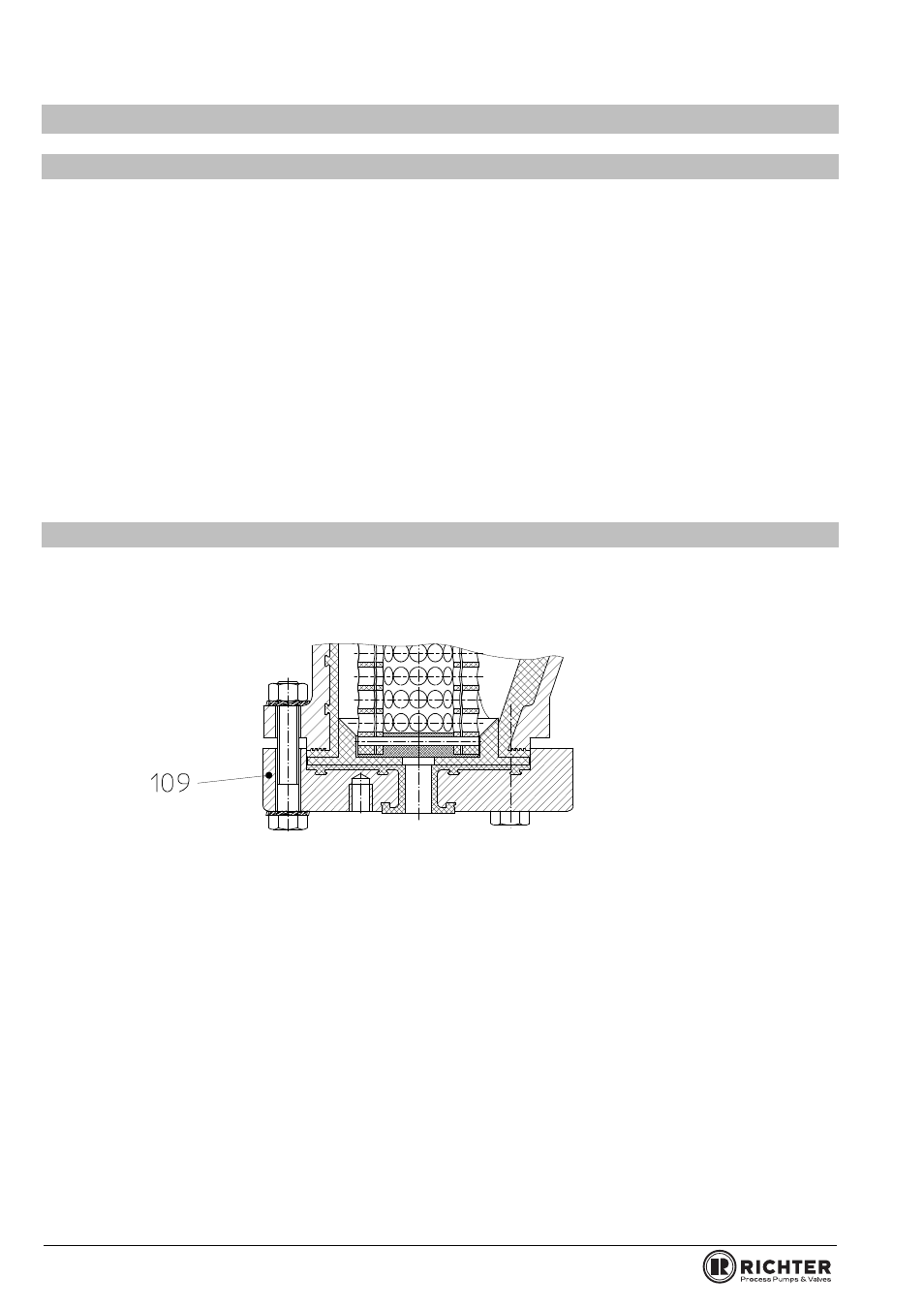 10 drawing, 1 legend, 2 option draining | Rawing, Egend, Option draining, Series gso | Richter GSO Series Strainers User Manual | Page 10 / 17