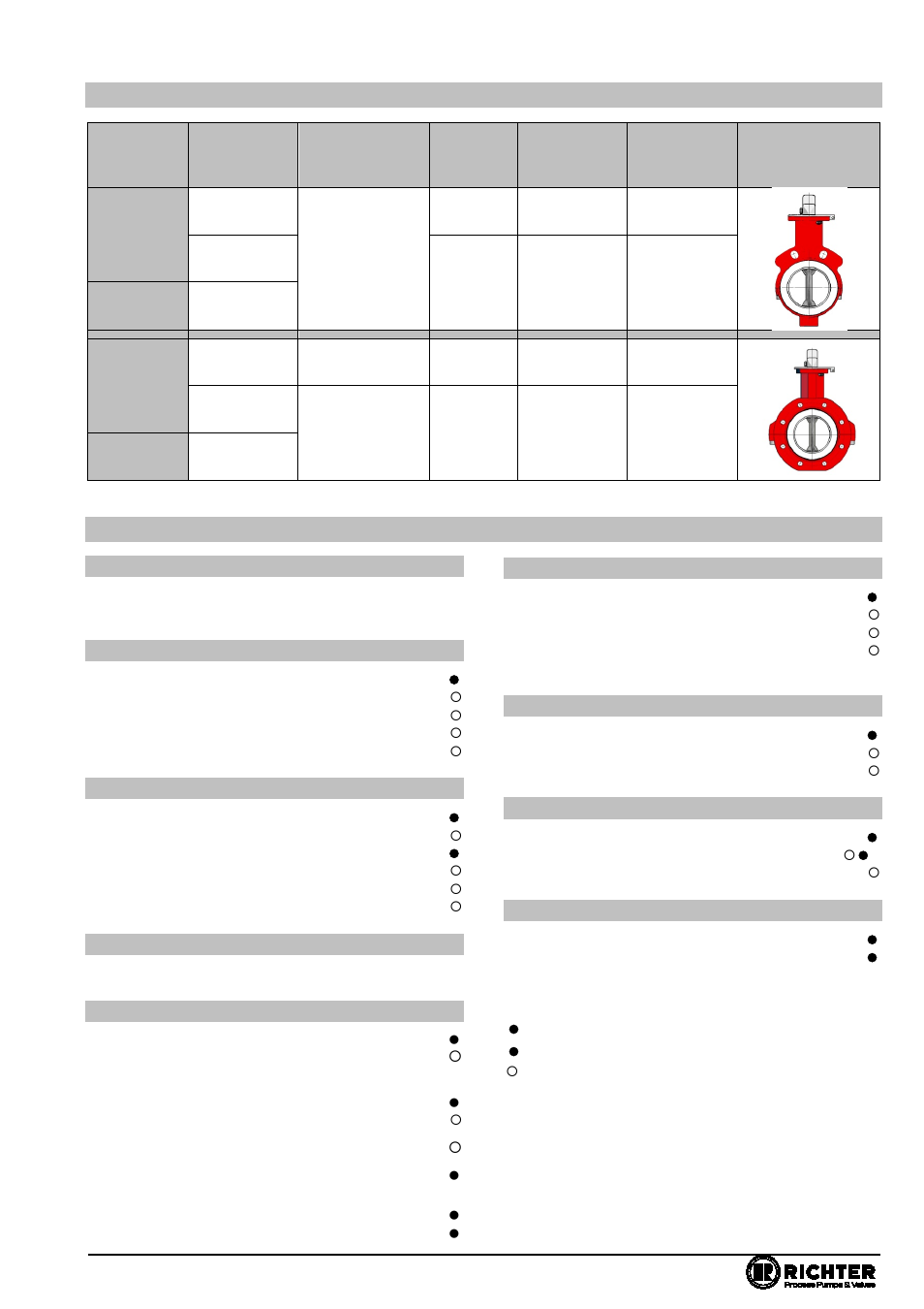 2 type codes, Overview of sizes, Type codes | Series nks-c, nksp-c, nkl-c, nklp-c, 1 overview of sizes, Series, F /f-l /f-s /f-h /f-t /f-l-s /f-l-h /f-l-t, Series code, Body lining code, Material disc/stem unit code | Richter NKLP-C Series Butterfly Valves User Manual | Page 4 / 33