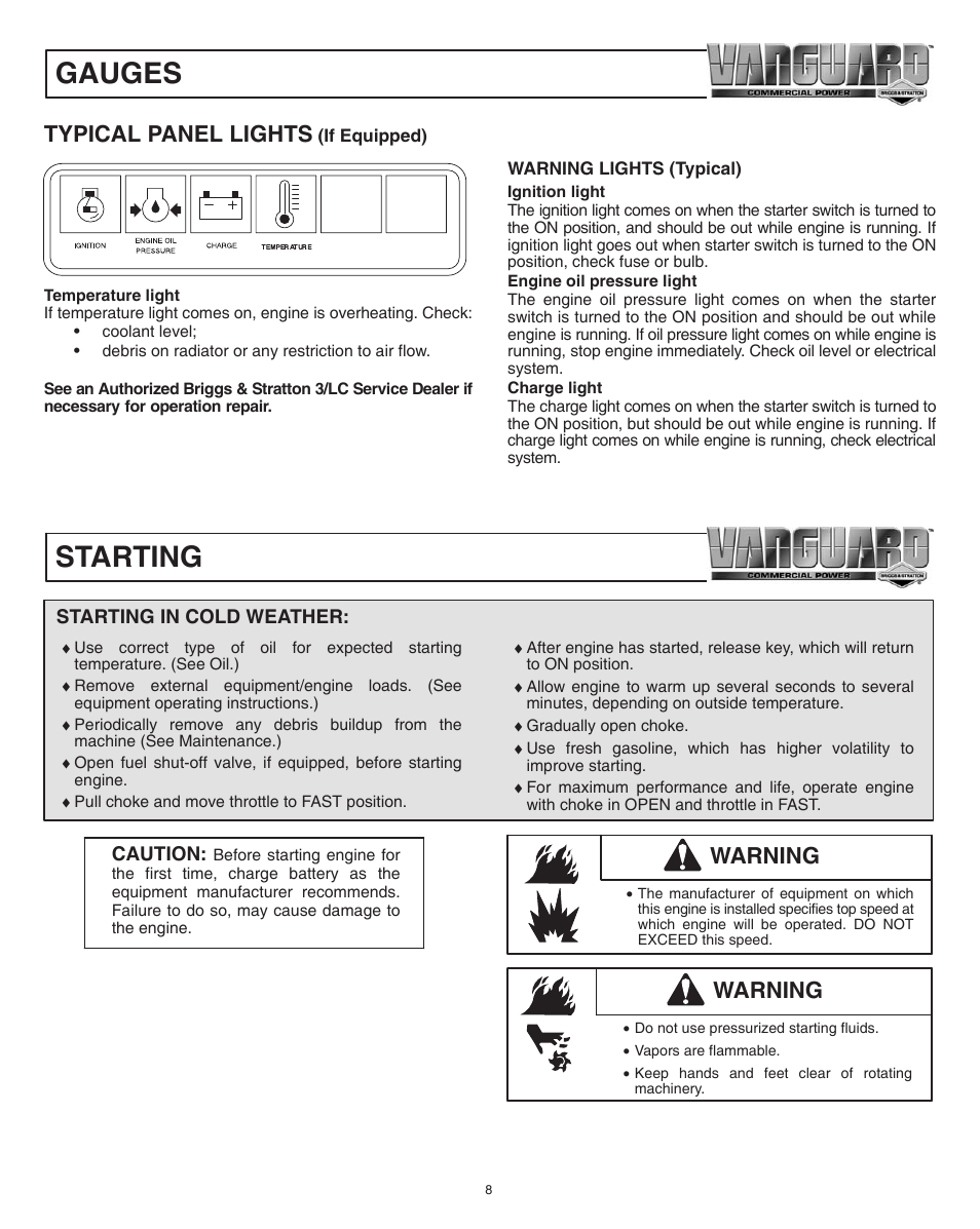 Gauges, Starting, Typical panel lights | Warning | Briggs & Stratton 580447 User Manual | Page 8 / 20