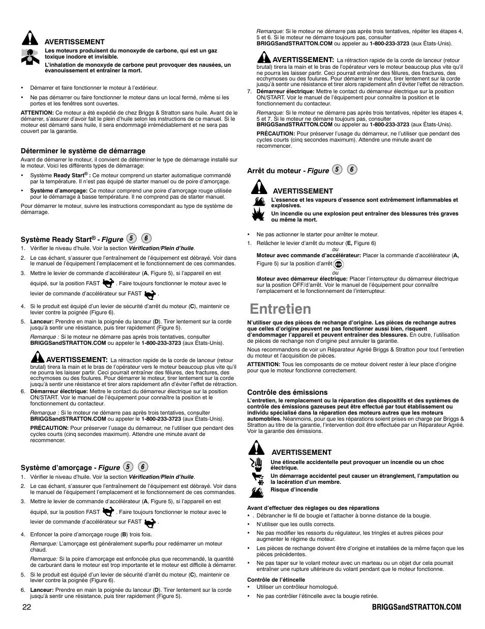 Entretien | Briggs & Stratton 100000 User Manual | Page 22 / 28