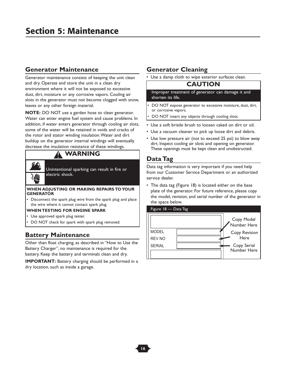 Generator maintenance, Battery maintenance, Generator cleaning | Data tag, Caution, Warning | Briggs & Stratton 30237 User Manual | Page 16 / 36