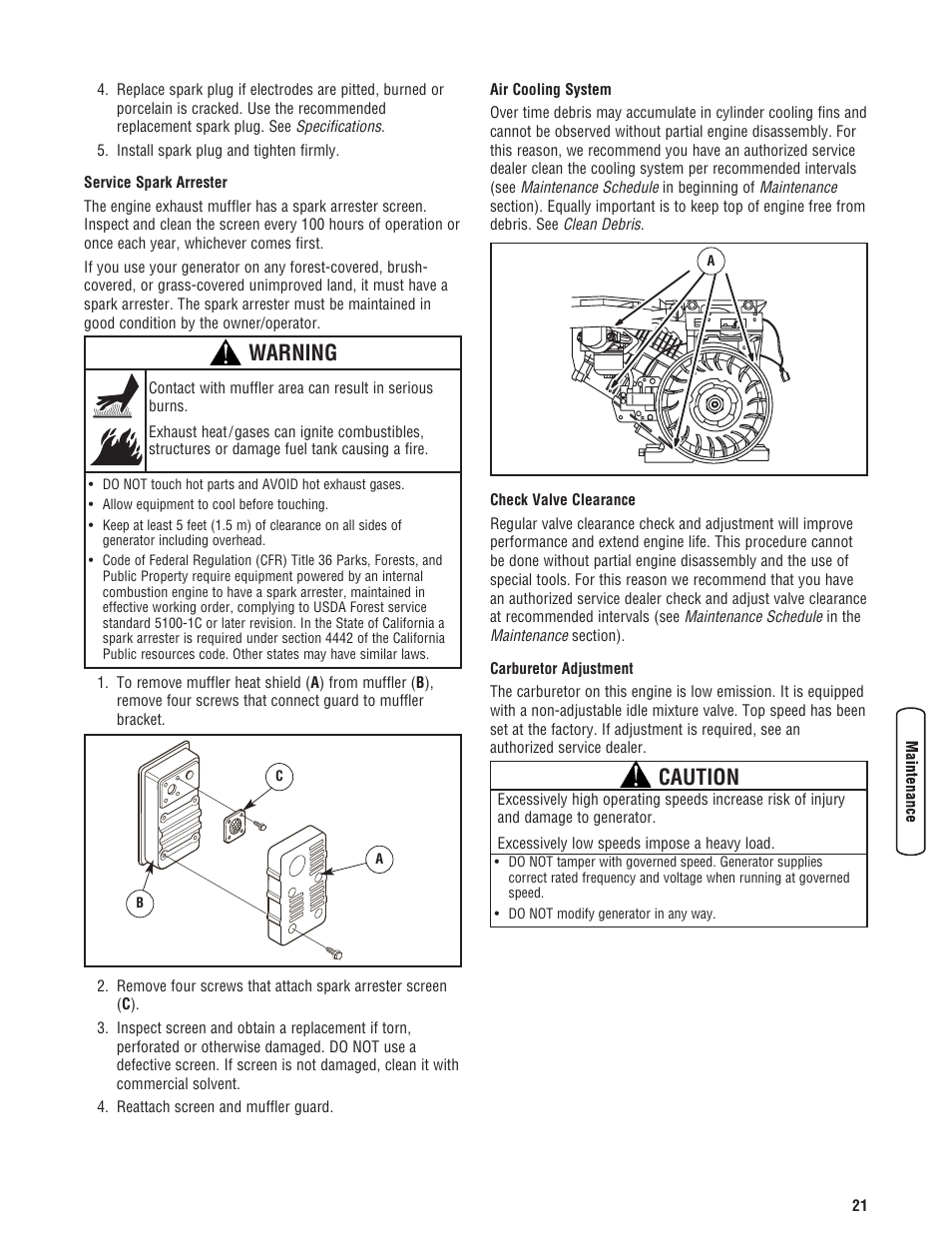 Warning, Caution | Briggs & Stratton 8000 Watt User Manual | Page 21 / 28