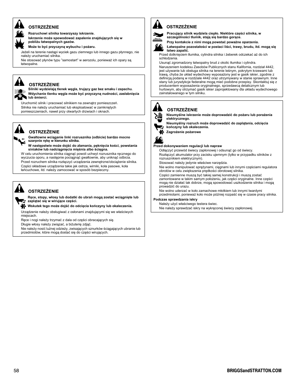 Briggs & Stratton I/C INTEC PRO 83100 User Manual | Page 58 / 84