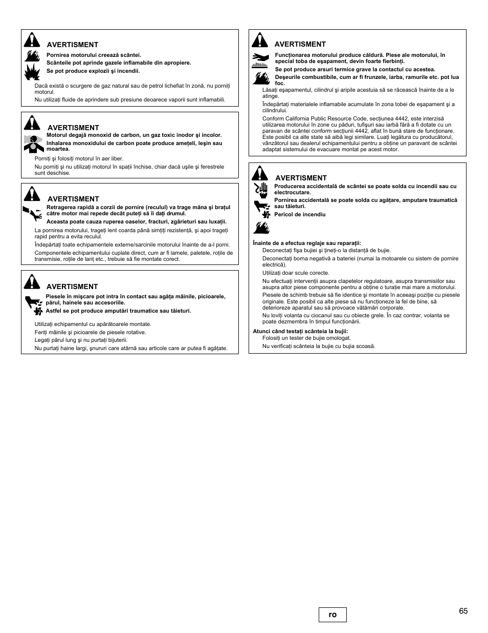 65 ro | Briggs & Stratton I/C INTEC PRO 83100 User Manual | Page 65 / 84