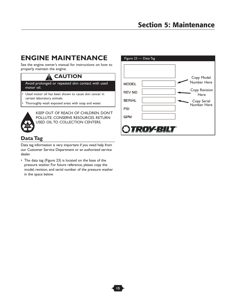 Engine maintenance, Data tag, Caution | Briggs & Stratton 20209 User Manual | Page 15 / 36