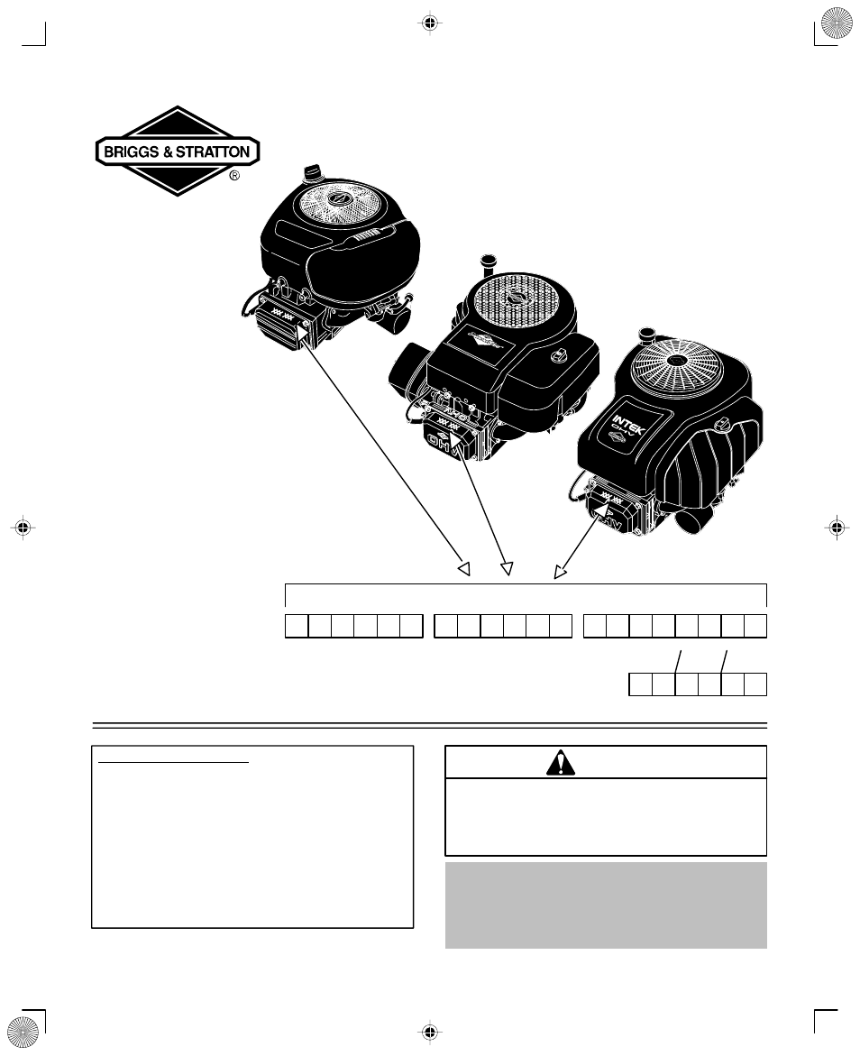 Briggs & Stratton 210000 User Manual | 20 pages