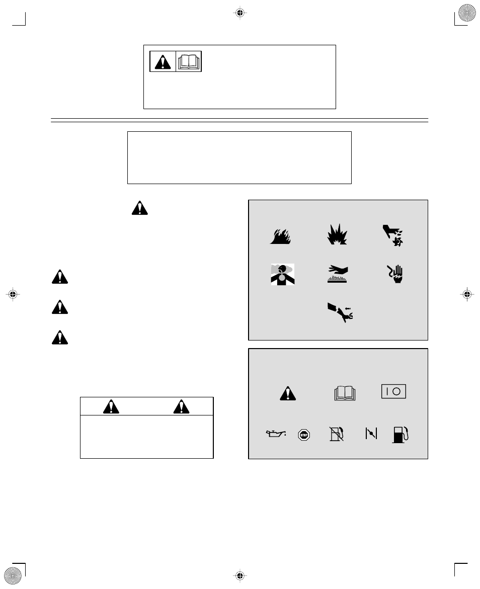 Warning | Briggs & Stratton 210000 User Manual | Page 3 / 20