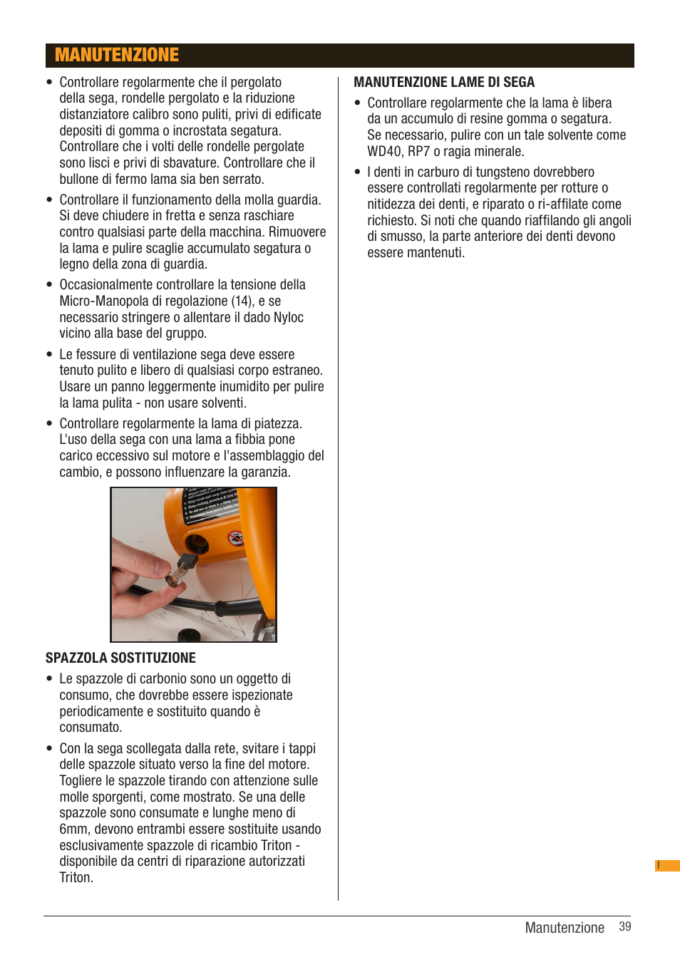 Manutenzione | Triton TSA 001 User Manual | Page 39 / 48