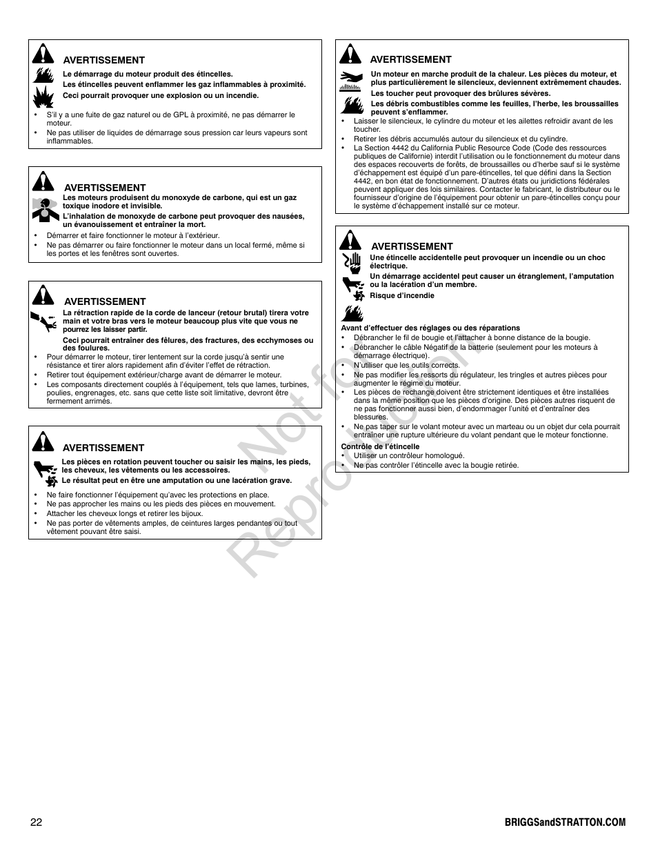 Not for reproduction | Briggs & Stratton PROFESSIONAL SERIES 110000 User Manual | Page 22 / 28