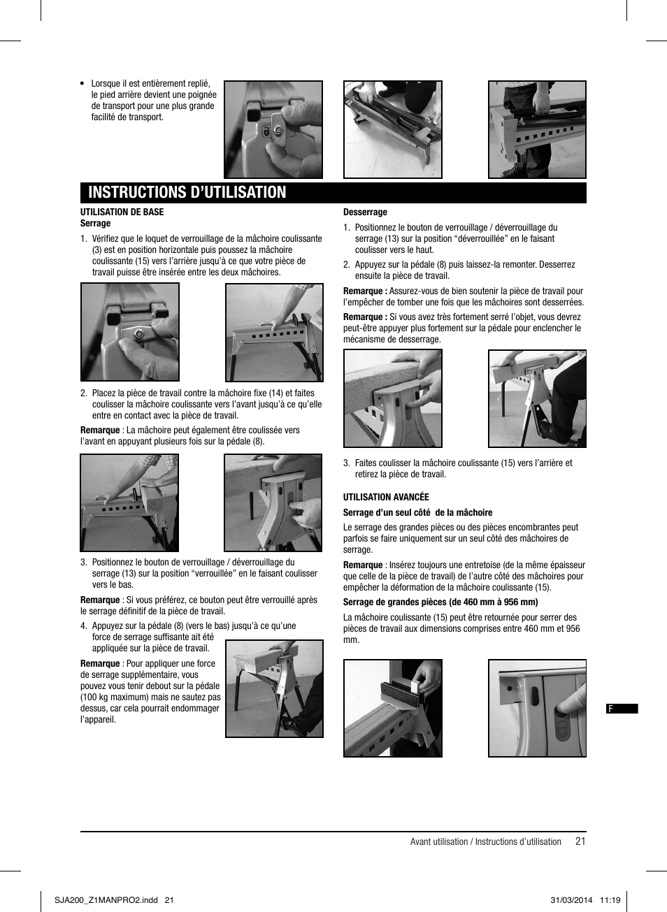 Instructions d’utilisation | Triton SJA 200 User Manual | Page 22 / 66